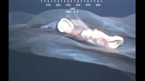 New video captured by underwater cameras near a deep-sea drilling rig off the coast of the United Kingdom depicts a giant, scaly blob dancing and pulsing under the waters.